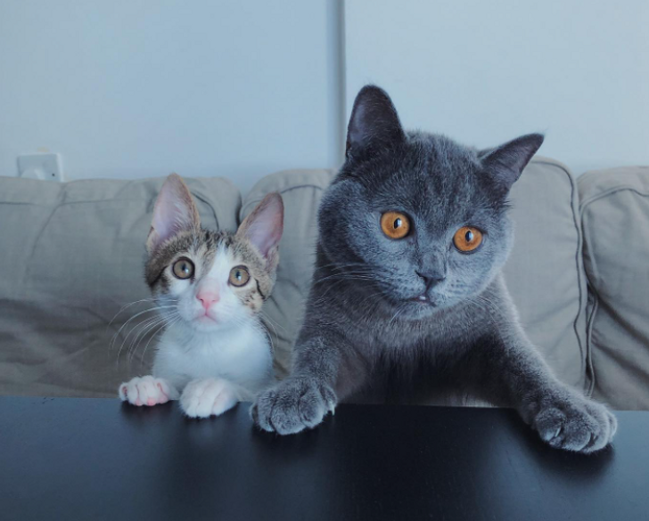 97c37a5dbeaf20c405a0d88720