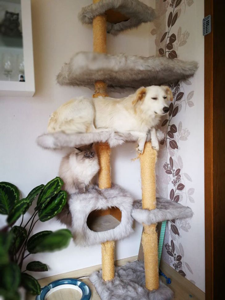 97c6535b62a7e8d7b2d1f77f06