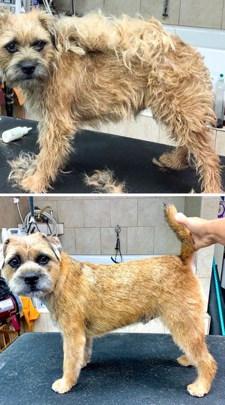 97ca5958469b86811953c8e70b