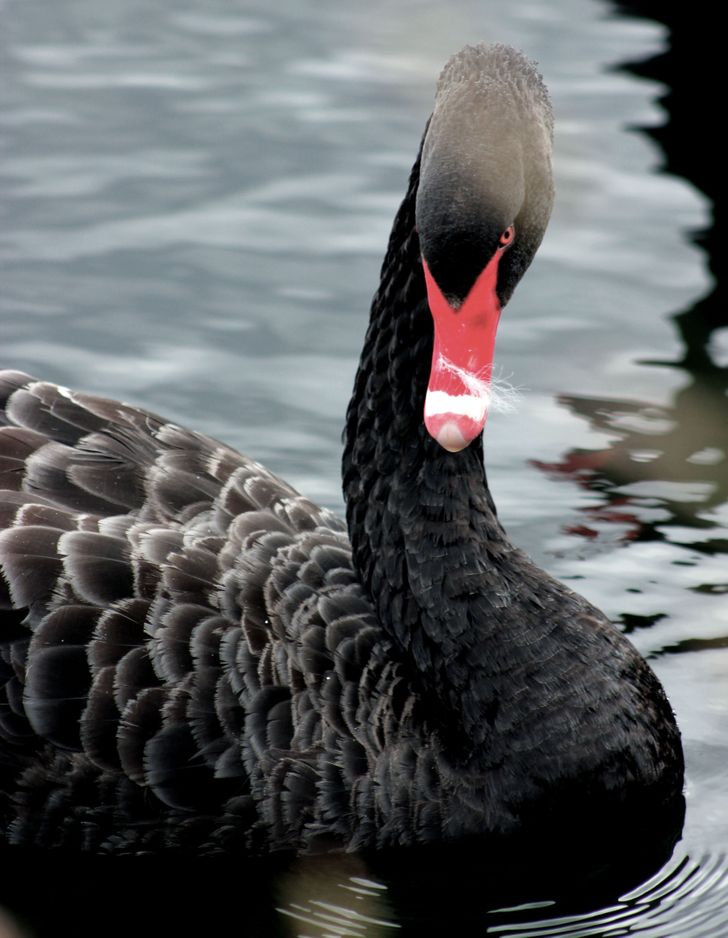 97d137588e8d9d33764e0ccda7