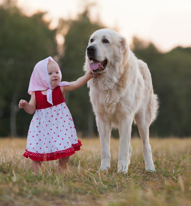 97d6165f1cbdde4a1211bdb15d