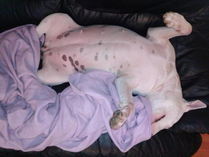 97ef375273beb09dd35a9e5ffd