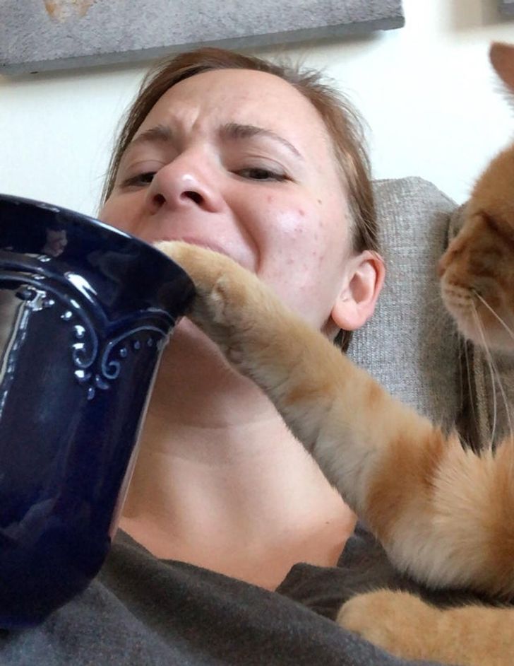 97f3d35bd3941e1cfe0efadf49