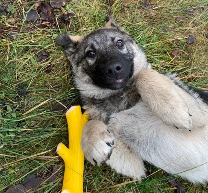 97f3fe5887a1728c6a9cc6f7b4