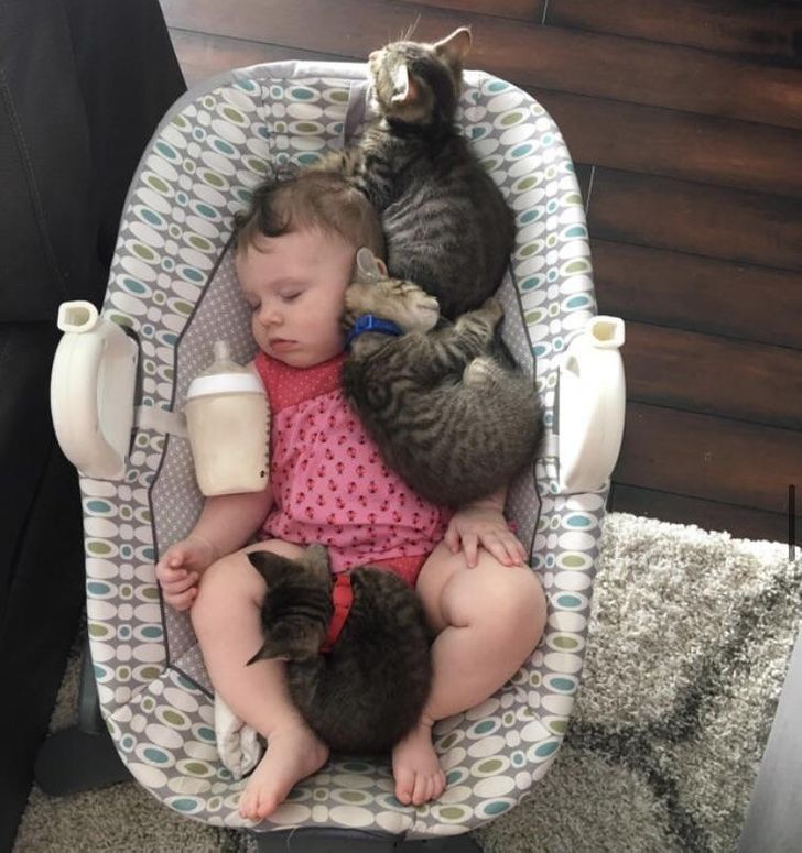 97f60458f6985774abdf27f9af