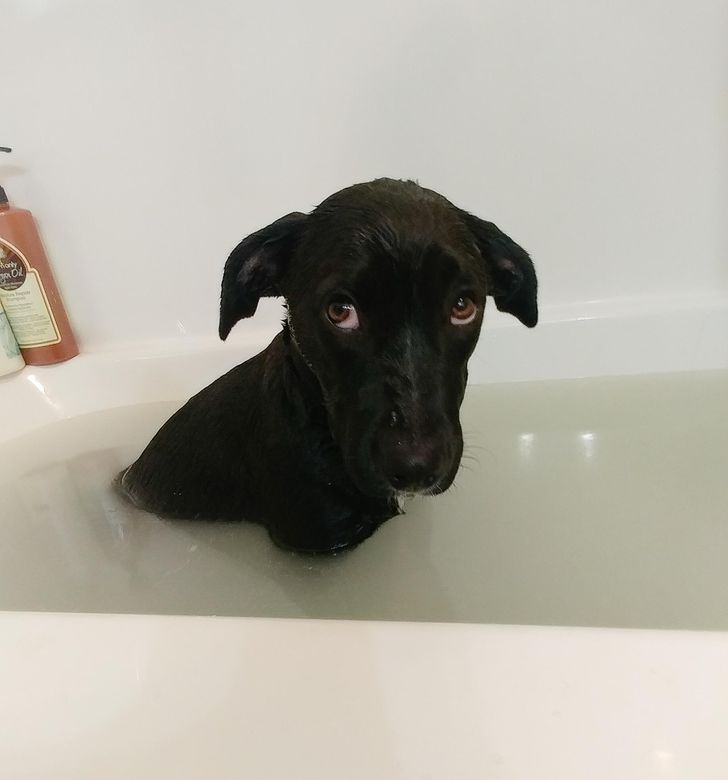 97f82b571b8cfbed6f82a4ba8e