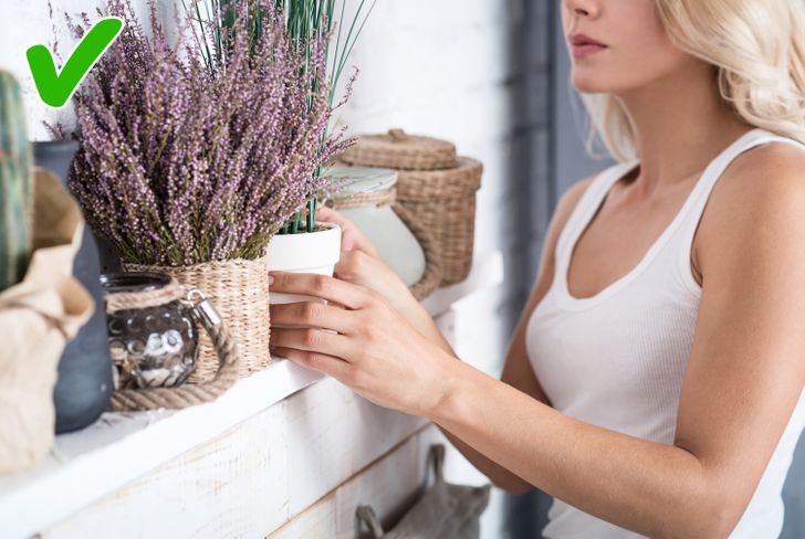 97f9255f3d94739d630b309fe7