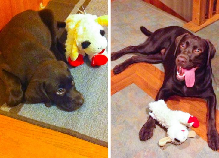 97fbfa57abb15b2eeb0fdd7f1c