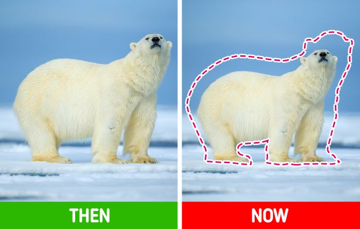 97ff3f56568707e92efcd478e1