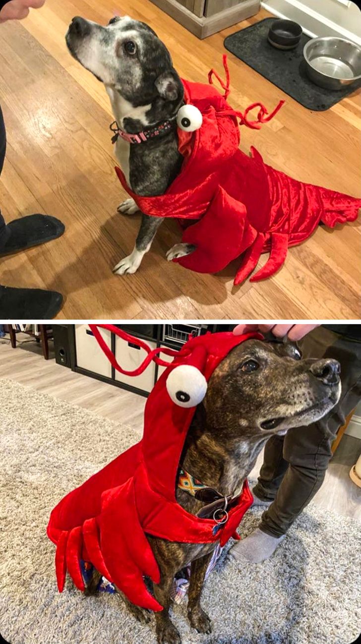 9805d35005b9603285d2e6a83d