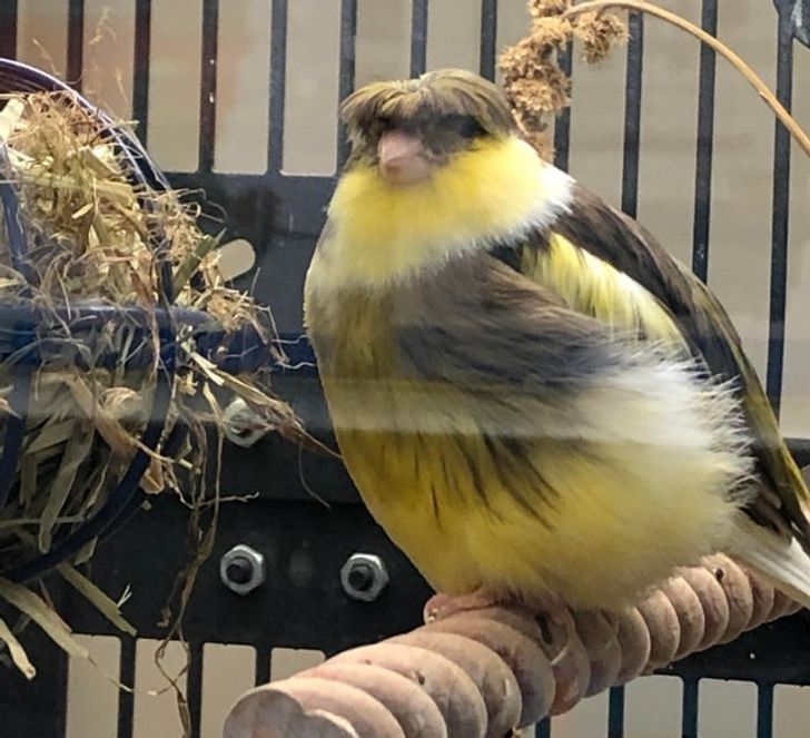 98063755568edddf733949b3b9