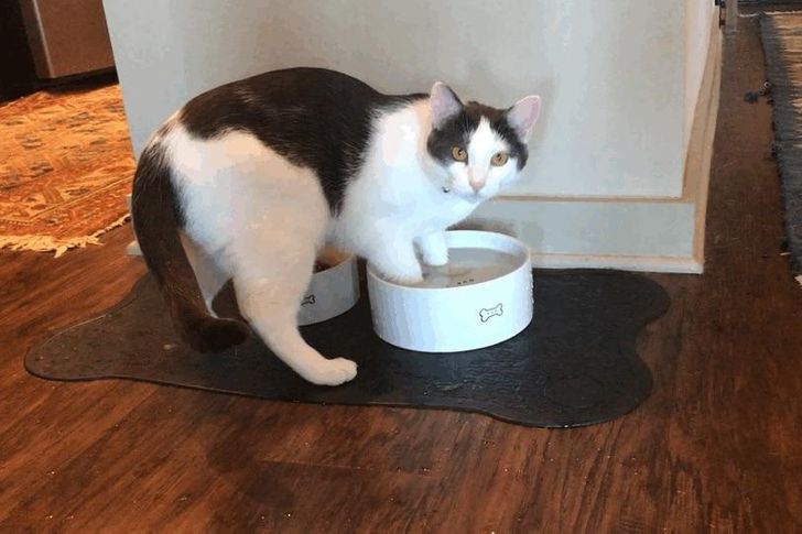 980cac5c2a9f1be579511b8ed9