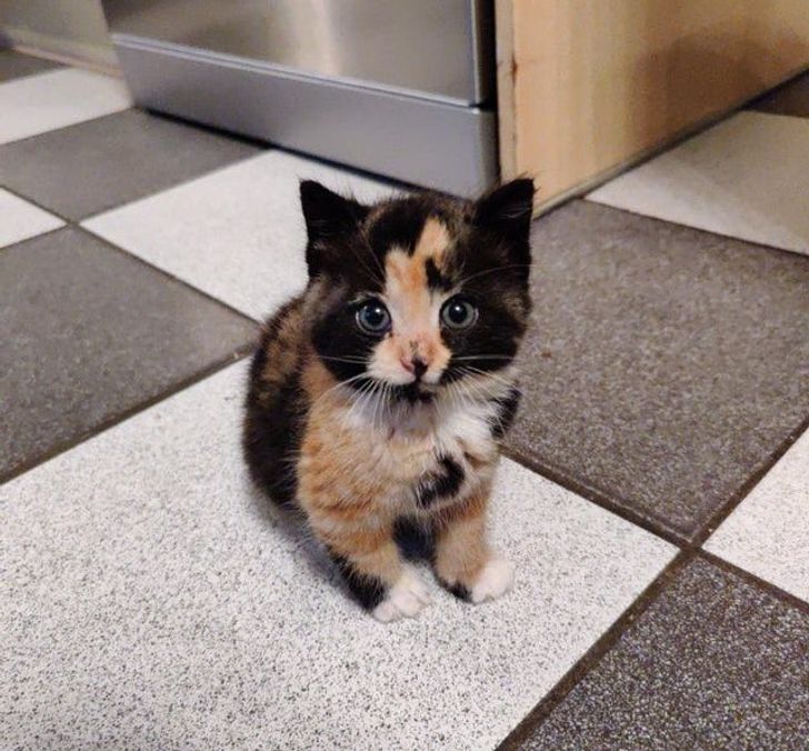 980e1755f3b370900b4784e244