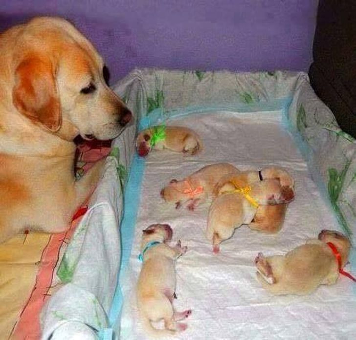 98148f583a8f5c60937c67793d