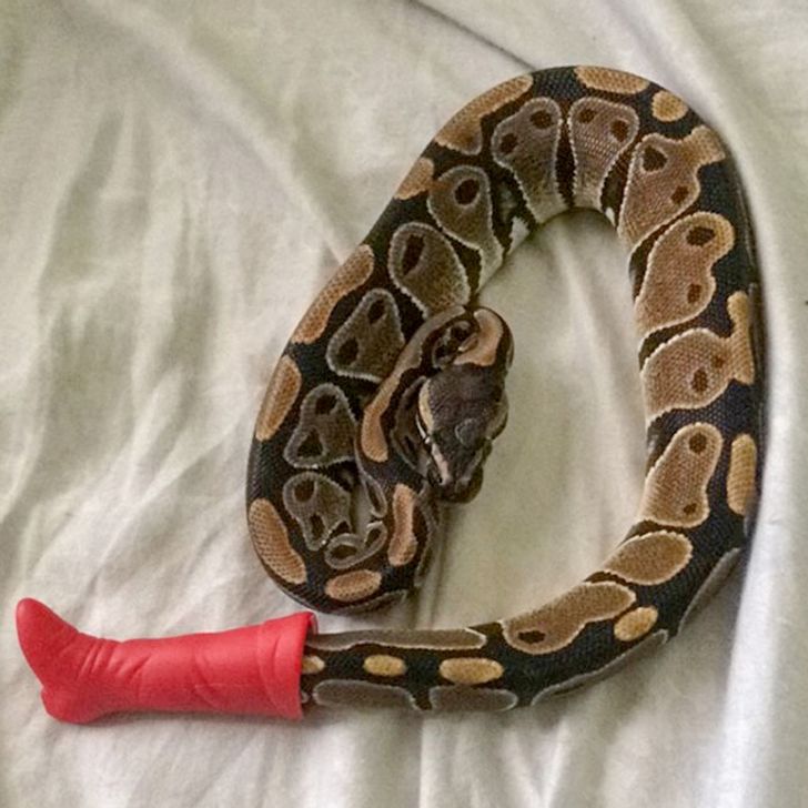 9822e957d0a4ec101346b6ddd6