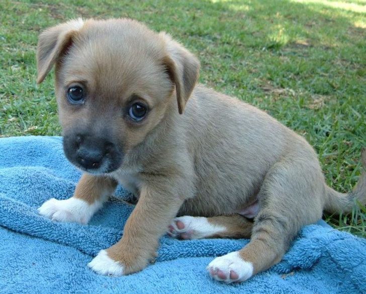 98235053619f7fb4526a8dc2f0