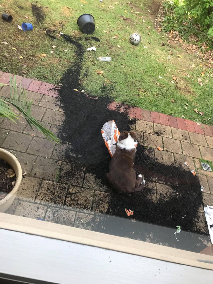 9825645ef68e139dab1cdc5a65