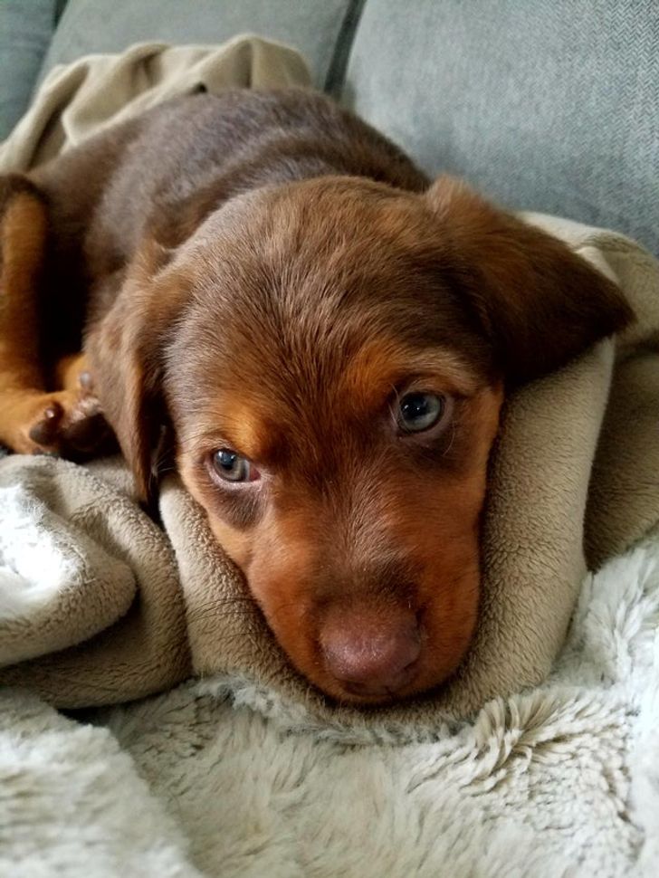 982fde534090f5db9eb9c9d225