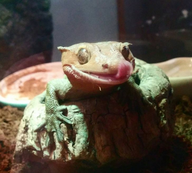 9835b154719ff885ef94e3dd68