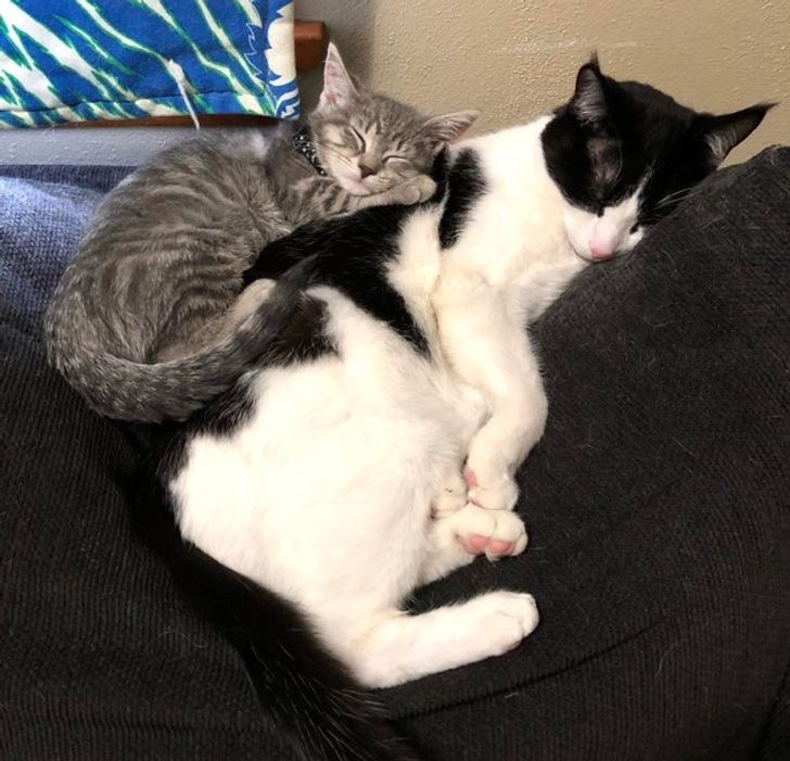 9836385d49992995b92a1b9683