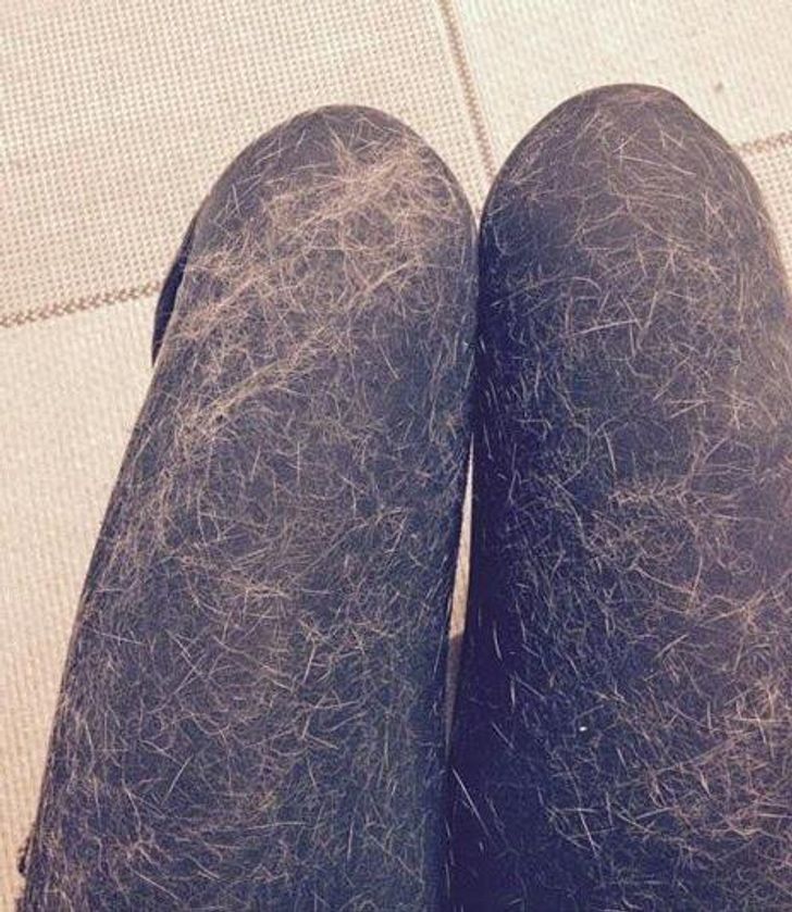 983687599d9a4e70574b0d5f1c