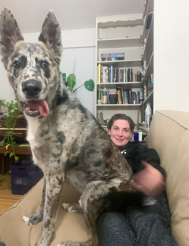 983e55507294b494c98e93a7be 983e55507294b494c98e93a7be