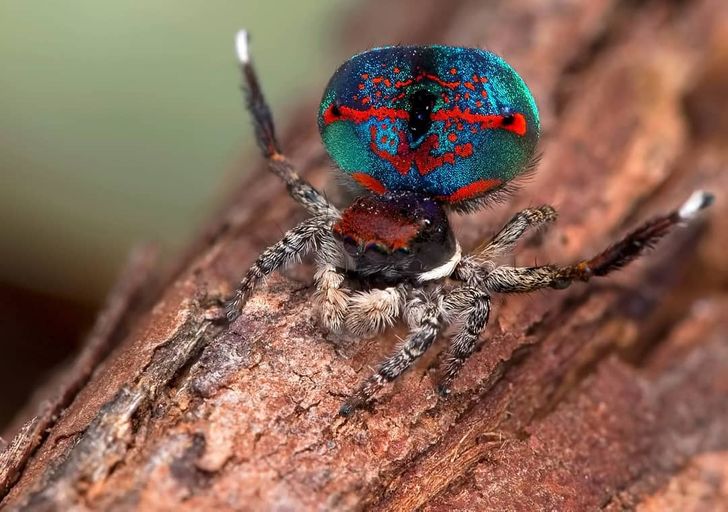 9842955c1180a2f7c64ad7c56e