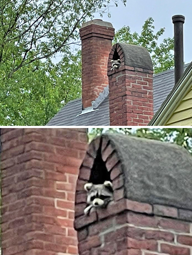 9843895281a59ddc4e116752cf