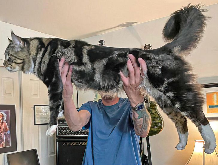 984b1551c8aa9b65f92521cc93