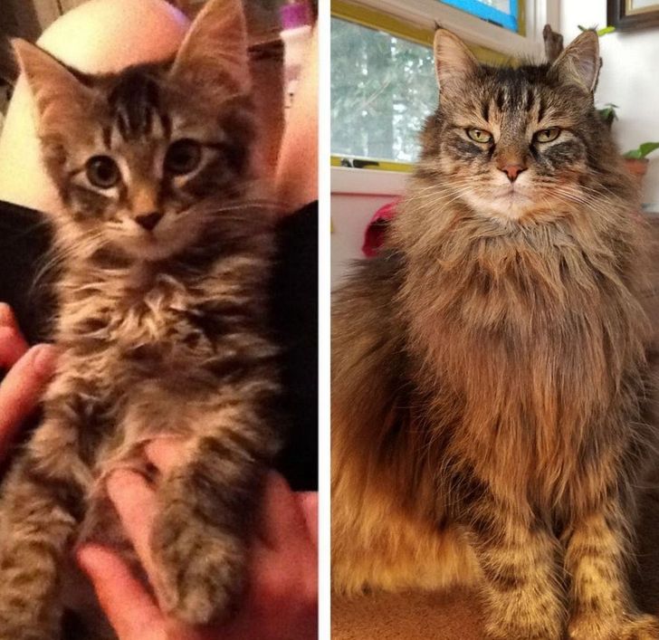 984e60523d80b307bf20fbe2a2