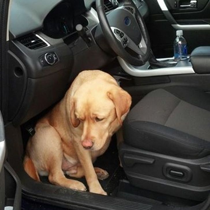 9850ce56749832293060c35a3a