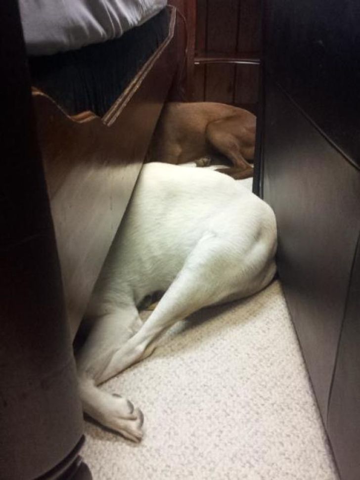 98512e537aa44b4ce9cf87ceb5