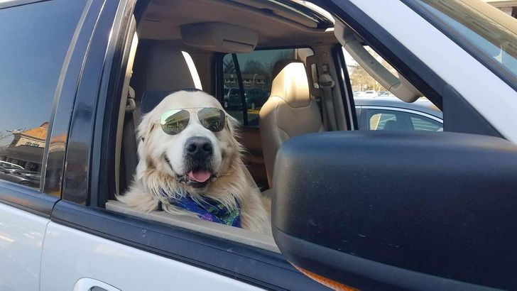 9852875238b559e67c4157a60c