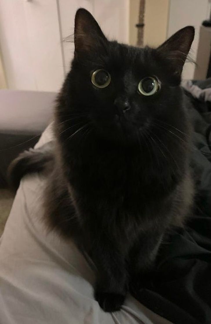 9853f350edb3687b17e7bb8770