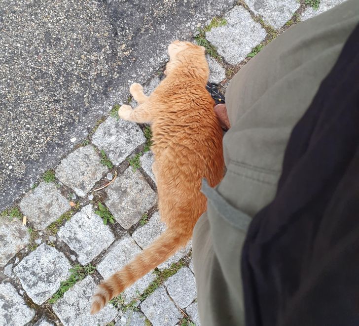 9854585389b76302eab8580eb3 9854585389b76302eab8580eb3