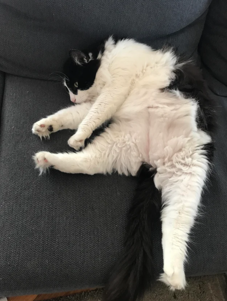 9863225e72ae82b979a8275e73