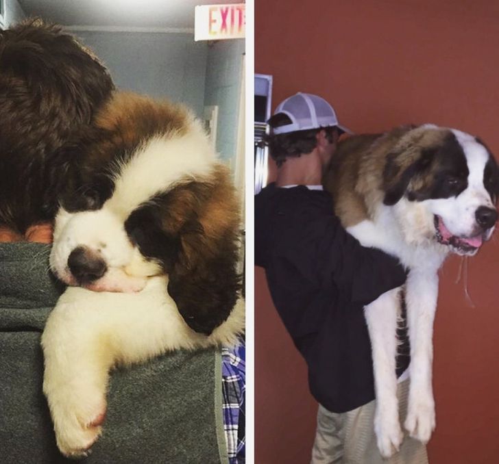 9863d4523f99d84fe54ea99744