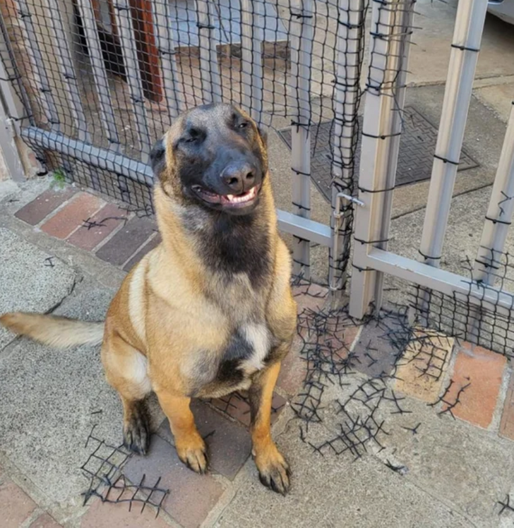 9865ed5f85ac1b99afd46621c1