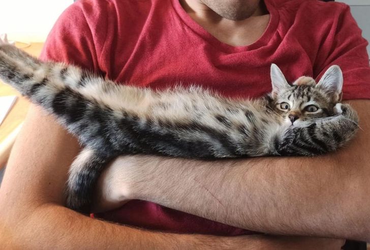 986b8e5498b4168574c211268e