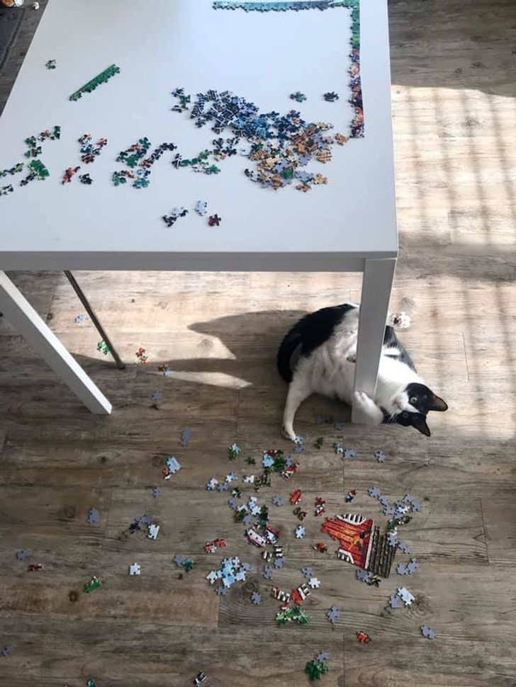 986c345d23bd654af2493e17c5