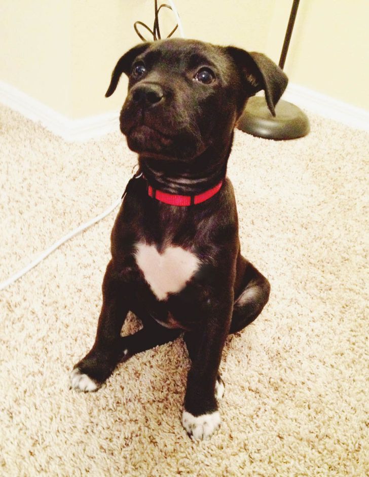 986d1a50e78c7ae99fe66fd0a9