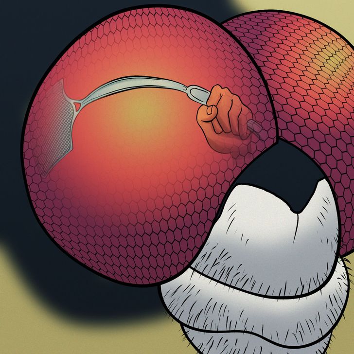 986dee571eb6ab5863b17e46a6