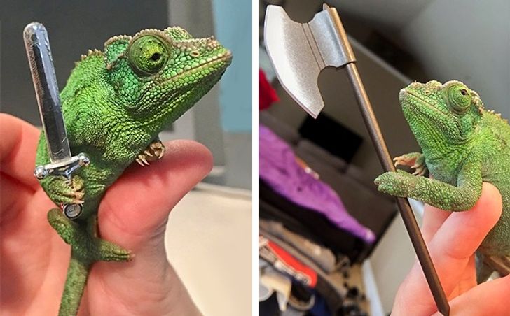 9871175a2388b8d1f7f5effa7e