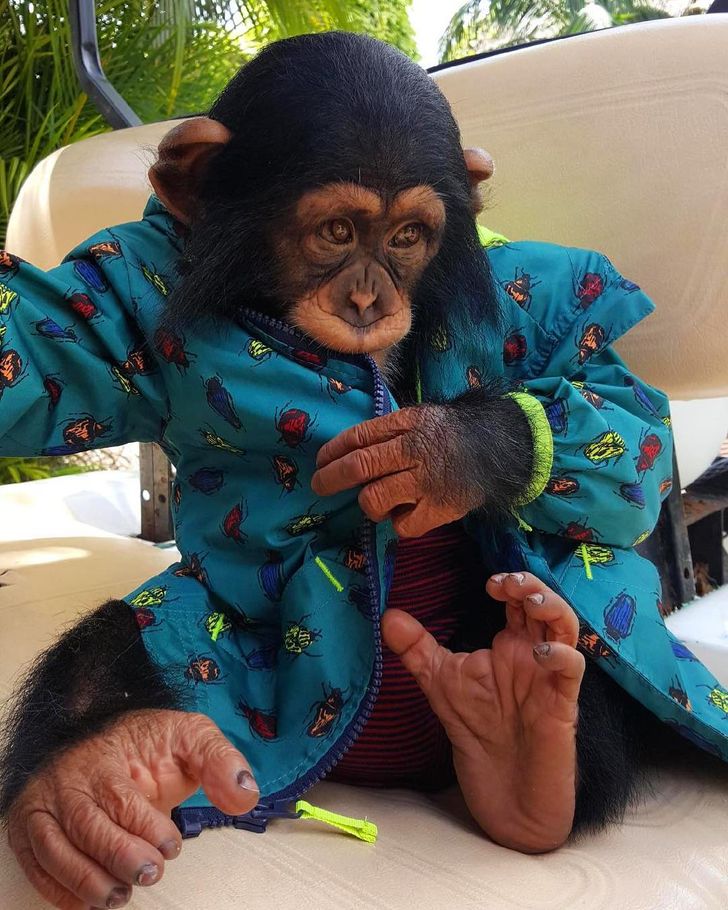 9873c65b3180635d60cfe41538