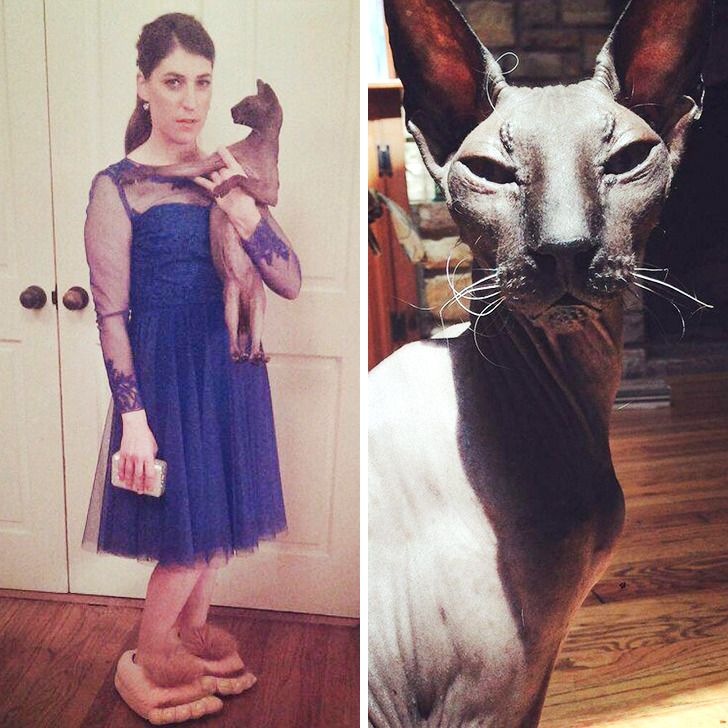 9874345a84b1892741ce8b7bdc