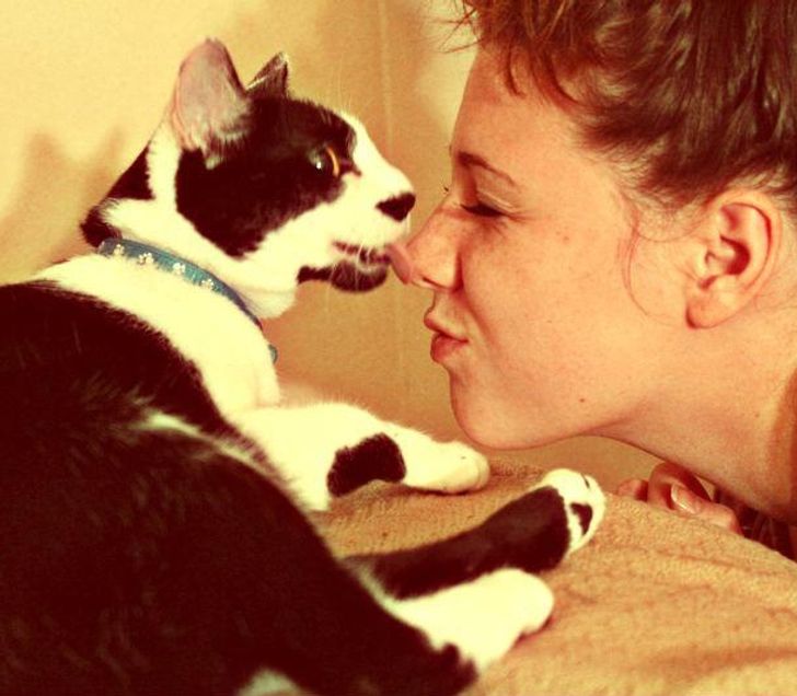 9877ee5c90ae7936cca6579044