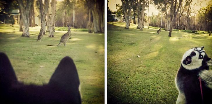 988b6b5734ac6fb7d8edd1c2e1