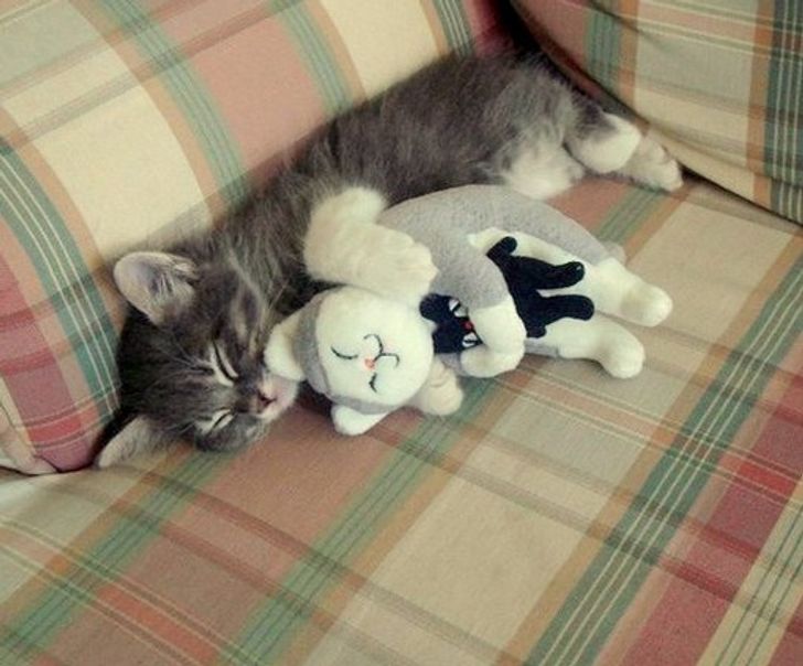 9895cb513f98671ecf282c4a0c