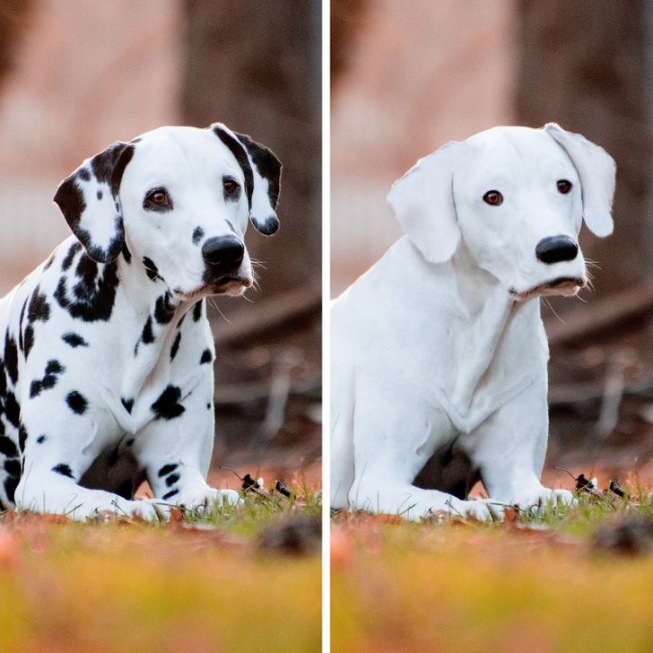 989cea5b8da7f001ac3997a8b3