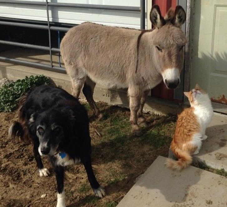 98a086526db3408fb0acf61ce9